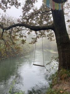 Un altalena attaccata ad un albero su un corso d'acqua.
