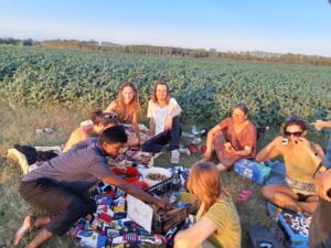 grupp ta’ nies jagħmlu piknik fil-ħaxix