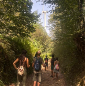 gruppo di persone di spalle mentre percorrono un sentiero tra gli alberi